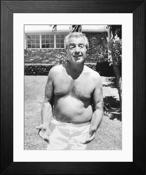 Framed Print : Anthony (Tony Pro) Provenzano told newsmen he was not a Mafia figure but he was a truck driver. He was outside his luxurious home on the Intercostal waterway in Florida Framed Print : Anthony (Tony Pro) Provenzano told newsmen he was not a Mafia figure but he was a truck driver. He was outside his luxurious home on the Intercostal waterway in Florida