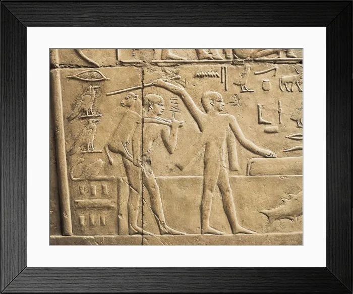 Framed Print : Tomb of Kagemni. ca. 2323 BC. EGYPT. Saqqara. Cattle way through a water channel. Egyptian art. Old Kingdom. Relief. AISA / Everett Collection**US SALES ONLY**