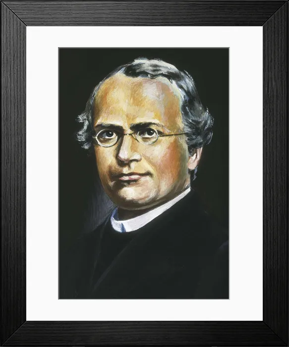 Framed Print : Mendel, Gregor Johann (1822-1884). Painting. AISA / Everett Collection**US SALES ONLY**