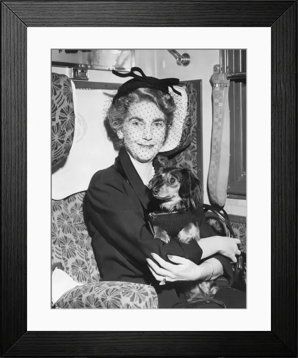 Framed Print : Barbara Hutton leaves Paris by train on her journey to New York on the SS United States. She is traveling with a dwarf basset hound named CoCotte'. Nov. 10, 1953