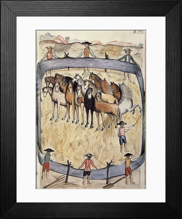 Framed Print : Trujillo del Per (end 18th c.): drawings and watercolours made by order of the bishop D. Baltasar Jaime Martnez Compan. Indians breaking horses. Engraving. SPAIN. Madrid