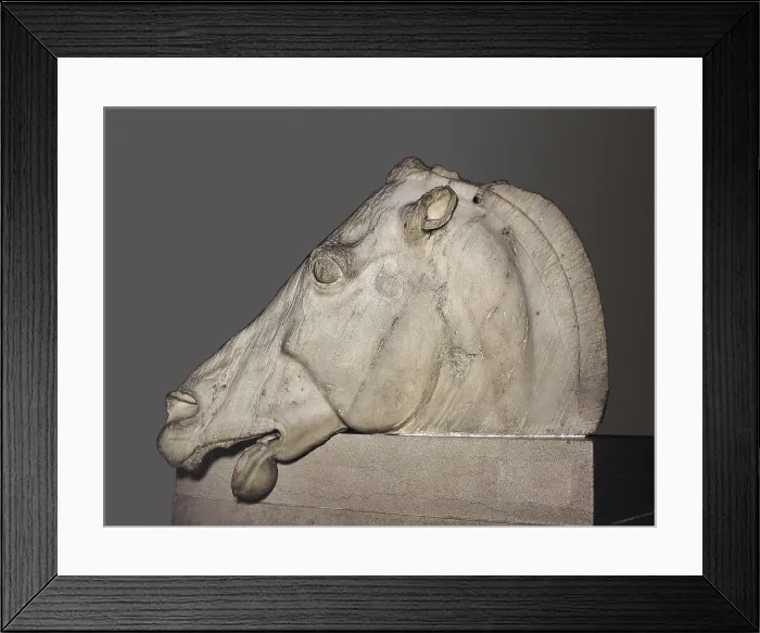 Framed Print : PHIDIAS (490 -431 BC). Head of a horse of Selene. 447 - 432 BC. From the frieze. Classical Greek art. Sculpture on marble. UNITED KINGDOM. London. The British Museum Framed Print : PHIDIAS (490 -431 BC). Head of a horse of Selene. 447 - 432 BC. From the frieze. Classical Greek art. Sculpture on marble. UNITED KINGDOM. London. The British Museum