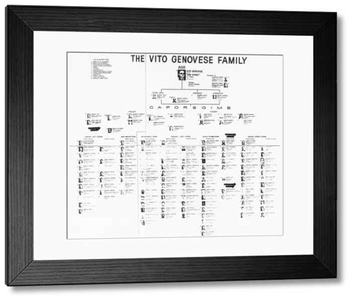 Framed Print : Charts show the internal organization of the crime families of New York City. October 8, 1963