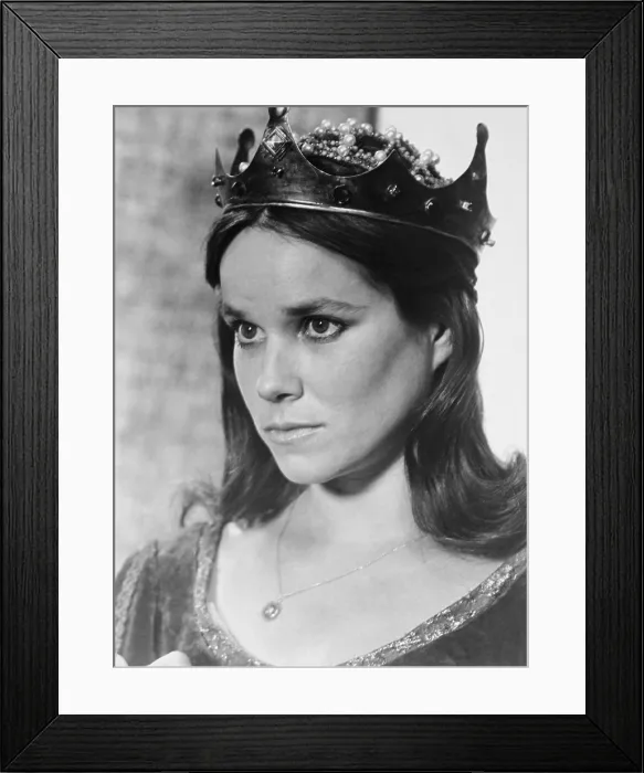 Framed Print : A DIRTY KNIGHT'S WORK, (aka TRIAL BY COMBAT), Barbara Hershey, 1976 Framed Print : A DIRTY KNIGHT'S WORK, (aka TRIAL BY COMBAT), Barbara Hershey, 1976