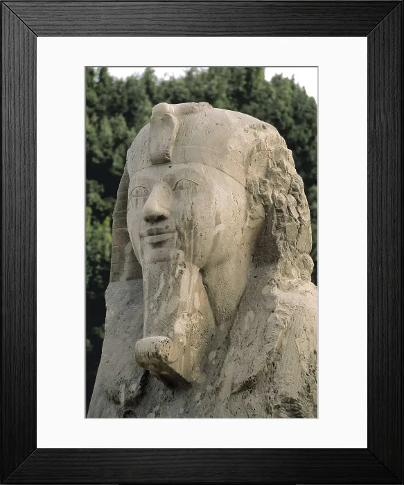 Framed Print : The Alabaster Sphynx. 13th c. BC. EGYPT. GIZA. Mit Rahina. Memphis. Egyptian art. New Kingdom. Sculpture. AISA / Everett Collection**US SALES ONLY** Framed Print : The Alabaster Sphynx. 13th c. BC. EGYPT. GIZA. Mit Rahina. Memphis. Egyptian art. New Kingdom. Sculpture. AISA / Everett Collection**US SALES ONLY**