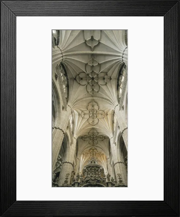 Framed Print : CHURRIGUERA, Alberto (1676-1740); GIL DE HONTAON, Rodrigo (1500-1577); JUAN de ALAVA ( -1537); GIL DE HONTAON, Juan (1480-1526). New Cathedral of the Virgin of the Assumption
