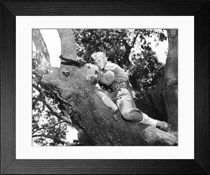 Framed Print : Stephen P. Hopkins, son of Harry Hopkins, in basic training at Parris Island. He is in a tree with his M-1 rifle. Aug. 1943. He was killed in action on Feb Framed Print : Stephen P. Hopkins, son of Harry Hopkins, in basic training at Parris Island. He is in a tree with his M-1 rifle. Aug. 1943. He was killed in action on Feb