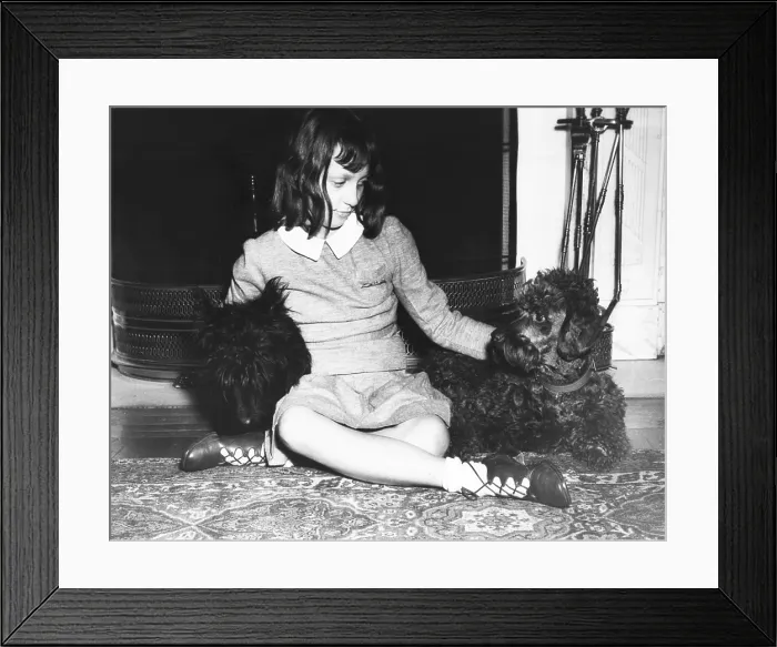 Framed Print : Diana Hopkins, daughter of Assistant President Harry Hopkins, with two playmates: FDR's Scottie, Falla (left), and Susie, the dog of her new step mother