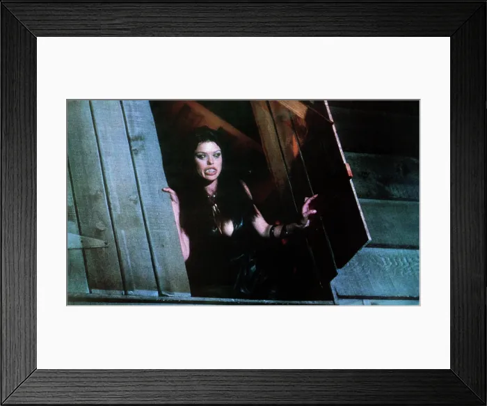 Framed Print : THE HOWLING, Elisabeth Brooks, 1981, Avco Embassy / courtesy Everett Collection