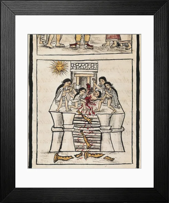 Framed Print : Azteca Empire. Sacrifice to the good Tezcatilipoca. Picture of the fol. 84v 'Libro de las Ceremonias' (Book of Ceremonies, mss. 218). Aztec art. Miniature Painting