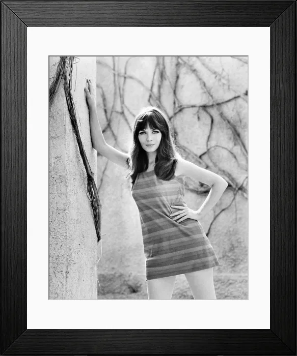 Framed Print : Elsa Martinelli, ca. late 1960s