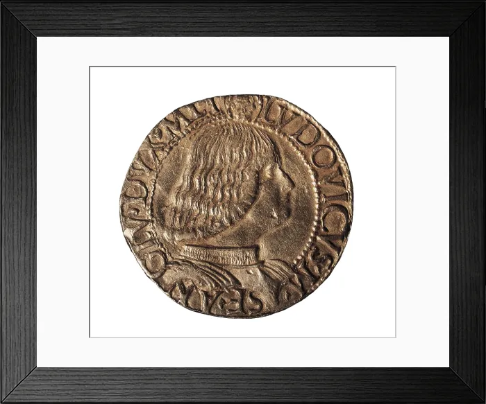 Framed Print : Golden coin with portrait of Ludovico Sforza. Coin. AISA / Everett Collection**US SALES ONLY**