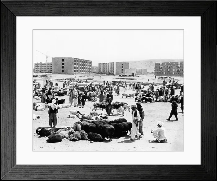 Framed Print : Contrasts in Kabul, Afghanistan. Modern buildings under construction beyond the sheep being sold in an outdoor meat market