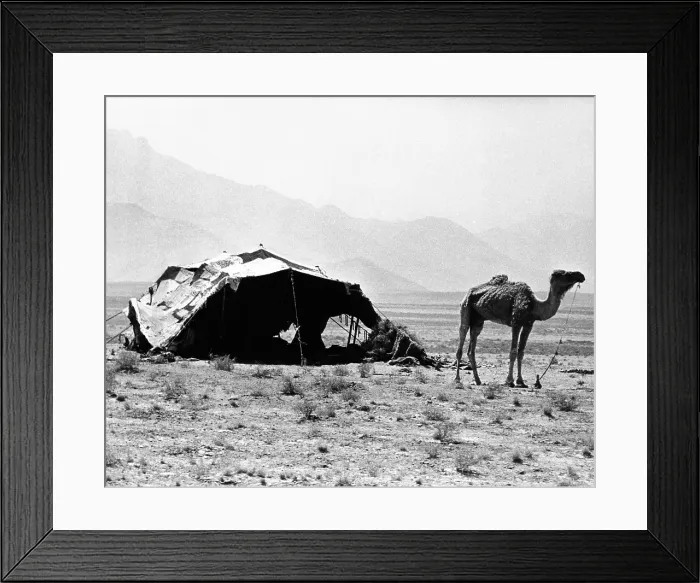 Framed Print : Nomadic tents can be seen in a mountainous area outside of Kabul, Afghanistan. Sept. 17, 1971. (CSU_ALPHA_1060) CSU Archives / Everett Collection