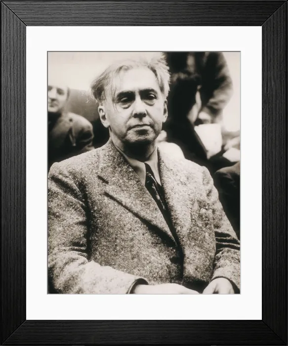Framed Print : EHRENBURG, Ilia Grigorievich (1891-1967). AISA / Everett Collection**US SALES ONLY**