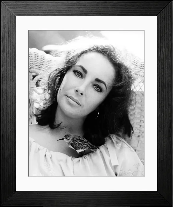 Framed Print : THE SANDPIPER, Elizabeth Taylor, 1965