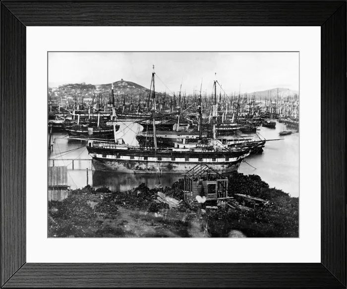 Framed Print : Abandoned vessels in San Francisco Bay. Whole crews abandoned their ship for the gold fields Framed Print : Abandoned vessels in San Francisco Bay. Whole crews abandoned their ship for the gold fields