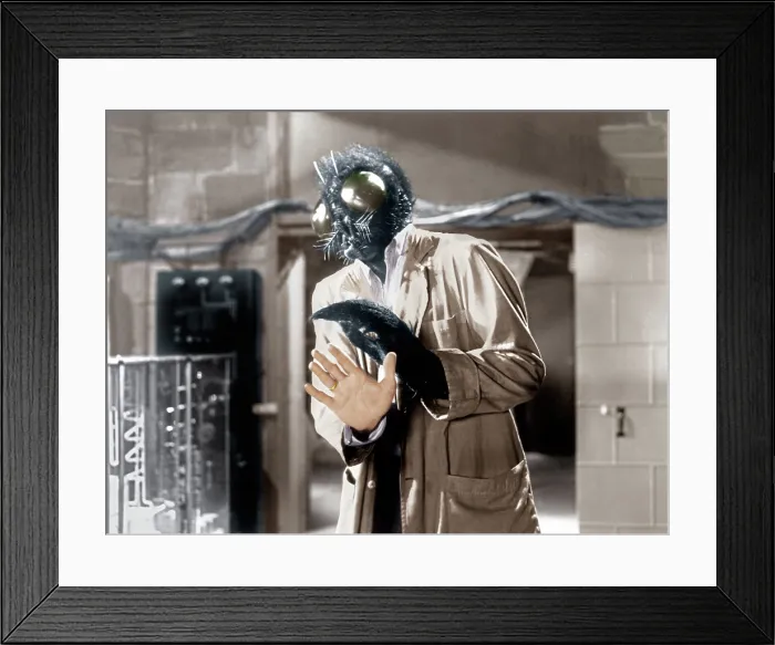 Framed Print : THE FLY, David Hedison, 1958. 20th Century-Fox Film Corporation, TM & Copyright / courtesy Everett Collection