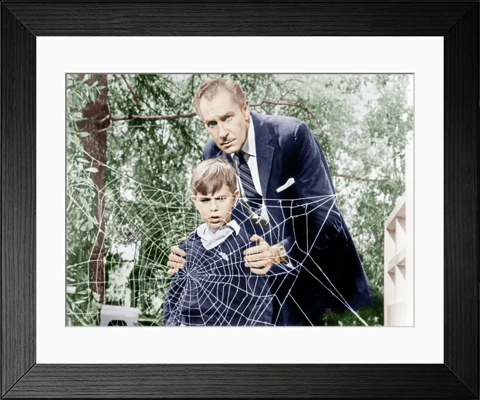 Framed Print : THE FLY, from left: Charles Herbert, Vincent Price, 1958. 20th Century-Fox Film Corporation, TM & Copyright / courtesy Everett Collection Framed Print : THE FLY, from left: Charles Herbert, Vincent Price, 1958. 20th Century-Fox Film Corporation, TM & Copyright / courtesy Everett Collection