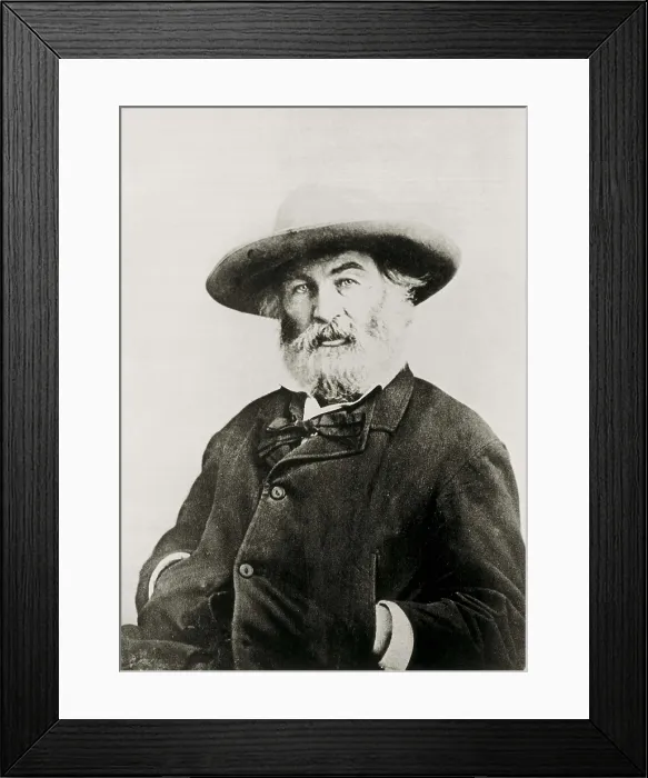 Framed Print : BRADY, Mathew B. (1823-1896); WHITMAN, Walt (1819-1892). Portrait of Walt Whitman taken by Mathew Brady. AISA / Everett Collection**US SALES ONLY**