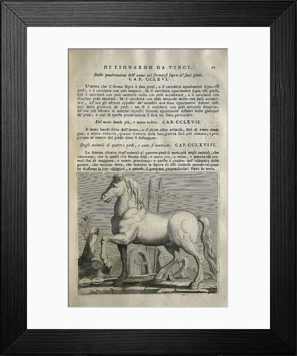 Framed Print : LEONARDO DA VINCI (1452-1519). 'Teatrise on Painting'. Edition printed in Naples by Francesco Ricciardo and Vincenzo and Nicola Rispoli (1733)