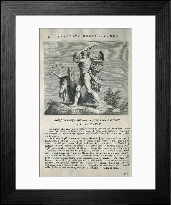 Framed Print : LEONARDO DA VINCI (1452-1519). 'Teatrise on Painting'. Edition printed in Naples by Francesco Ricciardo and Vincenzo and Nicola Rispoli (1733) Framed Print : LEONARDO DA VINCI (1452-1519). 'Teatrise on Painting'. Edition printed in Naples by Francesco Ricciardo and Vincenzo and Nicola Rispoli (1733)