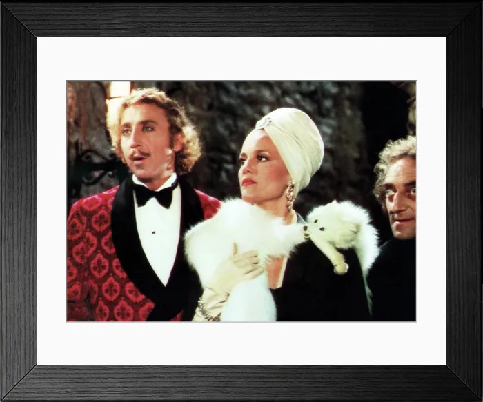 Framed Print : YOUNG FRANKENSTEIN, from left: Gene Wilder, Madeline Kahn, Marty Feldman, 1974, TM & Copyright 20th Century Fox Film Corp. / courtesy Everett Collection Framed Print : YOUNG FRANKENSTEIN, from left: Gene Wilder, Madeline Kahn, Marty Feldman, 1974, TM & Copyright 20th Century Fox Film Corp. / courtesy Everett Collection
