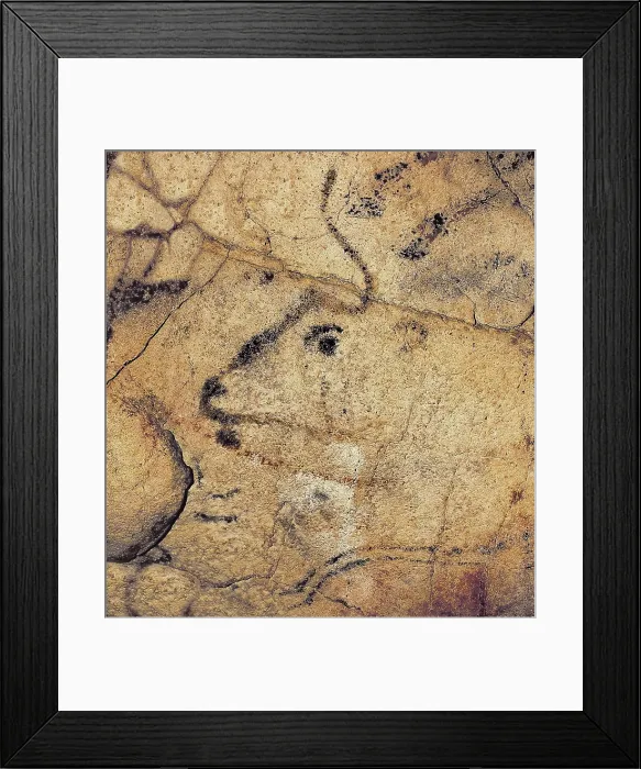 Framed Print : SPAIN. Santillana de Mar. Altamira Caves. Bison. Upper Paleolithic. Magdalenian. Cave. AISA / Everett Collection**US SALES ONLY**