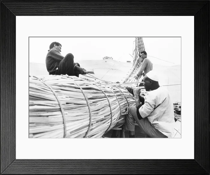 Framed Print : Boat builders from Lake Chad used papyrus reed from Lake Tana in Ethiopia, to construct RA'. May 1966 Framed Print : Boat builders from Lake Chad used papyrus reed from Lake Tana in Ethiopia, to construct RA'. May 1966