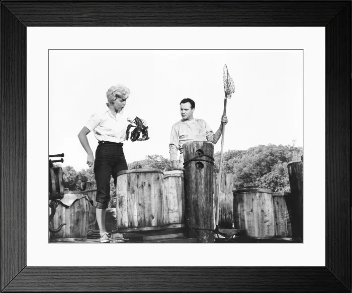 Framed Print : IT HAPPENED TO JANE, from left: Doris Day, Jack Lemmon, 1959