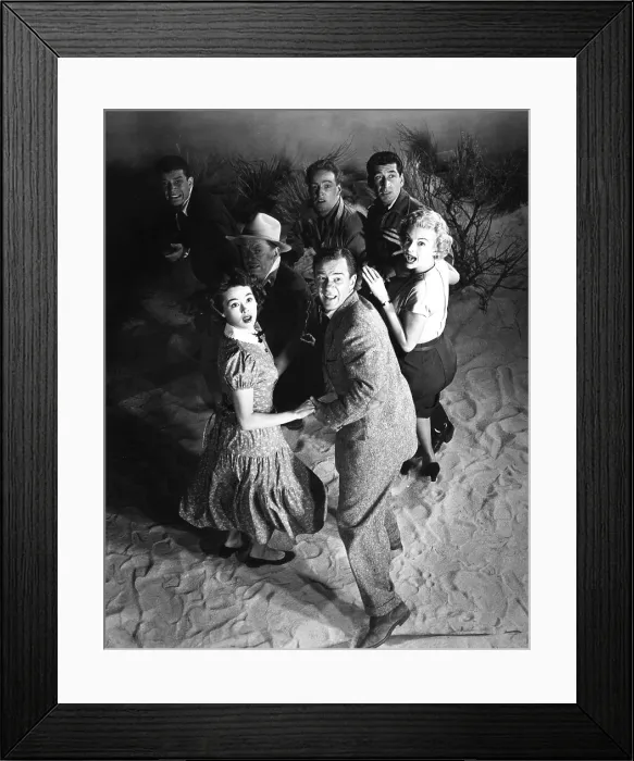 Framed Print : IT CAME FROM OUTER SPACE, Brad Jackson, Barbara Rush, George Eldridge, Richard Carlson, Russell Johnson, Allen Dexter, Kathleen Hughes, 1953