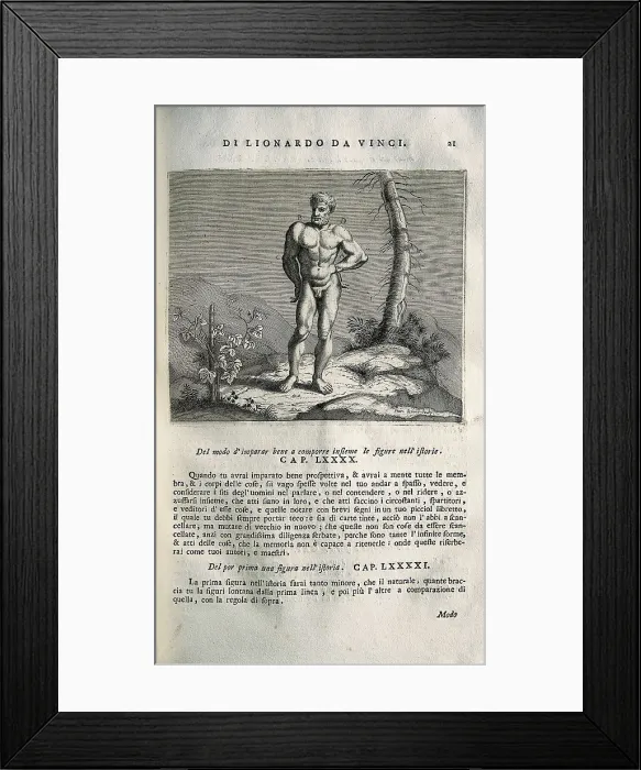 Framed Print : LEONARDO DA VINCI (1452-1519). 'Teatrise on Painting'. Edition printed in Naples by Francesco Ricciardo and Vincenzo and Nicola Rispoli (1733). Anatomical study Framed Print : LEONARDO DA VINCI (1452-1519). 'Teatrise on Painting'. Edition printed in Naples by Francesco Ricciardo and Vincenzo and Nicola Rispoli (1733). Anatomical study
