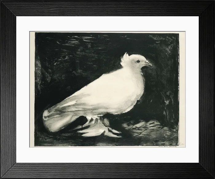 Framed Print : Picasso, Pablo (1881-1973). The Dove. 1949. Litography. SPAIN. Barcelona. Picasso Museum. AISA / Everett Collection - Image has fine art copyright