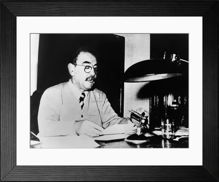 Framed Print : Imre Nagy, became Prime Minister of Premier of Hungary during the 1956 Revolt against the Soviets