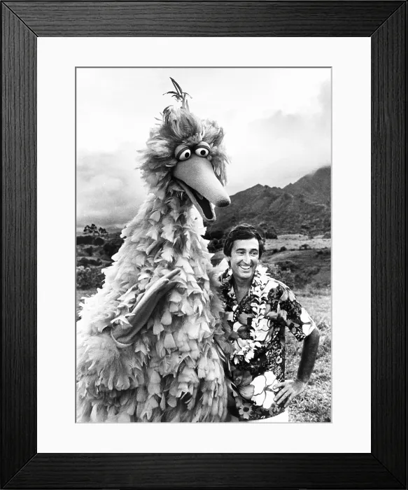 Framed Print : Big Bird (Carroll Spinney) and Bob McGrath of SESAME STREET on the Hawaiian Island of Kauai. They were taping a special location-based episode for the 1977-78 season Framed Print : Big Bird (Carroll Spinney) and Bob McGrath of SESAME STREET on the Hawaiian Island of Kauai. They were taping a special location-based episode for the 1977-78 season