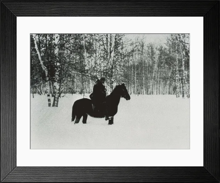 Framed Print : TOLSTOY, Lev Nikolayevich, Leo (1828-1910). Portrait of Leo Tolstoy riding a horse along the surroundings of his house at the autumn of 1909. RUSSIA. TULA. Ysnaia Poliana