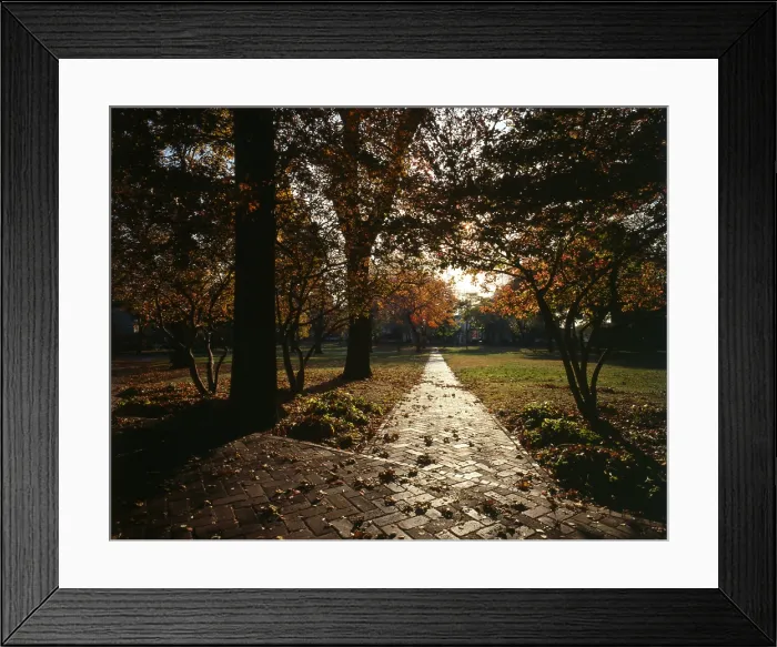 Framed Print : New York City, Governor's Island, view of Nolan Park in autumn; 1982