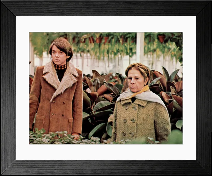 Framed Print : HAROLD AND MAUDE, Bud Cort, Ruth Gordon, 1971 Framed Print : HAROLD AND MAUDE, Bud Cort, Ruth Gordon, 1971
