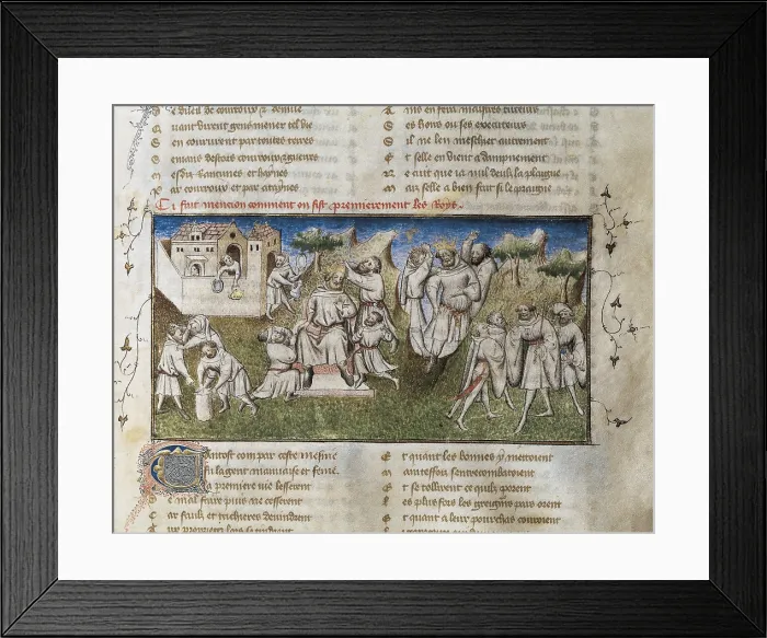 Framed Print : The Romance of the Rose. s.XIV. 'It's mentioned how kings are made'. Miniature of fol. 68v. Gothic art. Miniature Painting. SPAIN. Valencia