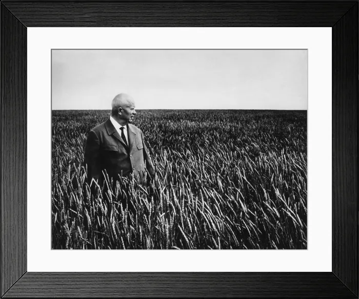 Framed Print : Soviet Premier Nikita Khrushchev stands in a sea of waving wheat in Kazakhstan. Sept. 1964
