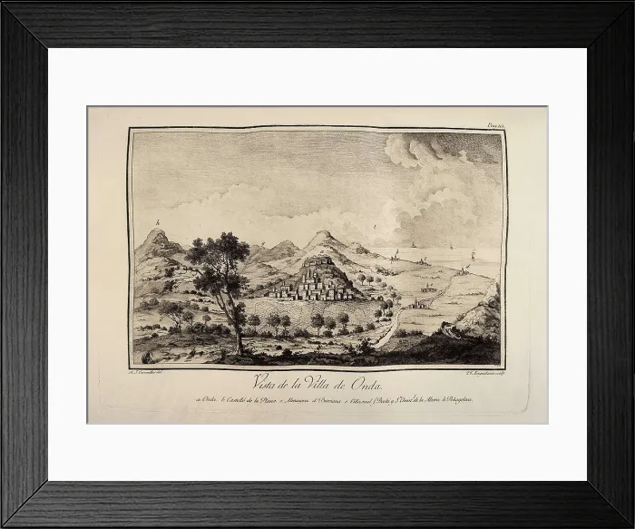 Framed Print : CAVANILLES PALOP, Antonio Jos (1745-1804)