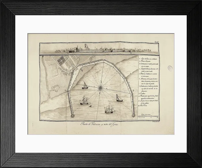 Framed Print : CAVANILLES PALOP, Antonio Jos (1745-1804)