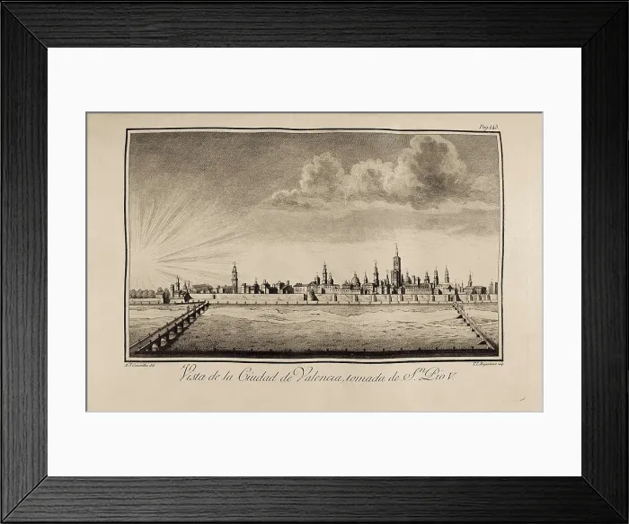 Framed Print : CAVANILLES PALOP, Antonio Jos (1745-1804)