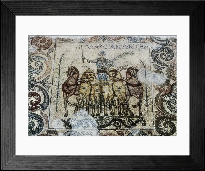 Framed Print : Marcianus mosaic. 4th c. Side detail depicting Victorious Charioteer Marcianus. Roman art. Late Empire. Mosaic. SPAIN. Mrida.. National Museum of Roman Art
