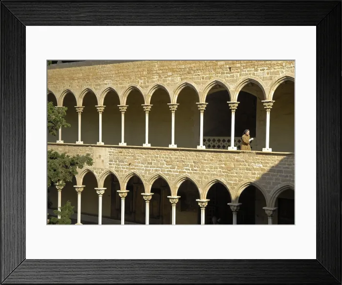 Framed Print : SPAIN. Barcelona. Monastery of Pedralbes. Monastery of Pedralbes (14th c.). Cloister. Gothic art. Architecture. AISA / Everett Collection**US SALES ONLY**