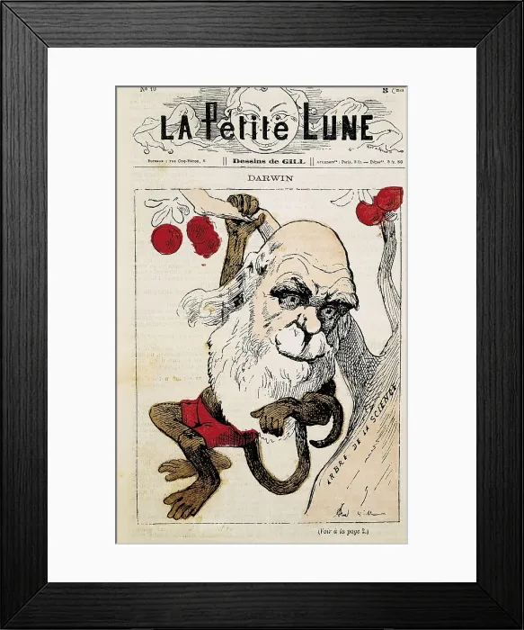 Framed Print : DARWIN, Charles Robert (1809-1882). Caricature of Charles Darwin in the French magazine 'La Petite Lune'. Engraving. AISA / Everett Collection**US SALES ONLY** Framed Print : DARWIN, Charles Robert (1809-1882). Caricature of Charles Darwin in the French magazine 'La Petite Lune'. Engraving. AISA / Everett Collection**US SALES ONLY**