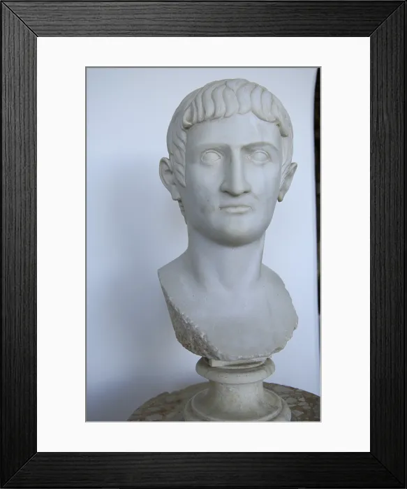 Framed Print : ITALY. Anacapri. Capri Island. Villa San Michele. Axel Munthe's former house. Bust of Tiberius. Sculpture on marble. AISA / Everett Collection**US SALES ONLY**