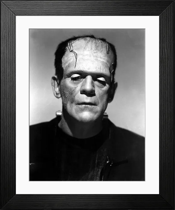 Framed Print : BRIDE OF FRANKENSTEIN, Boris Karloff, 1935 Framed Print : BRIDE OF FRANKENSTEIN, Boris Karloff, 1935