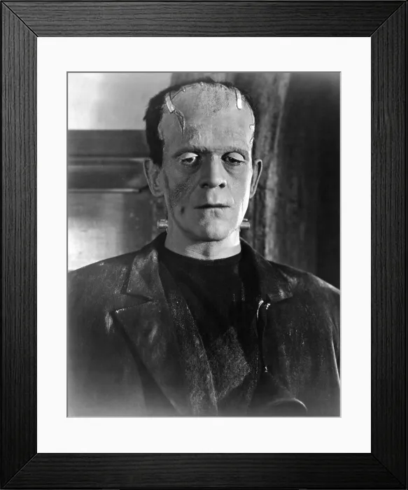 Framed Print : BRIDE OF FRANKENSTEIN, Boris Karloff, 1935 Framed Print : BRIDE OF FRANKENSTEIN, Boris Karloff, 1935