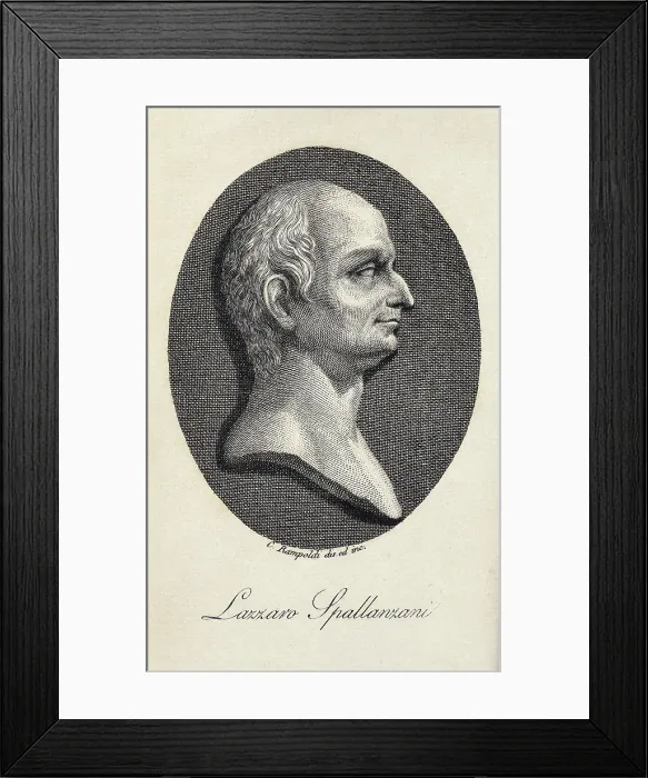 Framed Print : SPALLANZANI, Lazzaro (1729-1799). Portrait of Spallanzani included in the title page of his work 'Viaggi alle due Sicilie' published in 1795. Engraving. SPAIN Framed Print : SPALLANZANI, Lazzaro (1729-1799). Portrait of Spallanzani included in the title page of his work 'Viaggi alle due Sicilie' published in 1795. Engraving. SPAIN